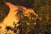 Sunrise on the Wailua River